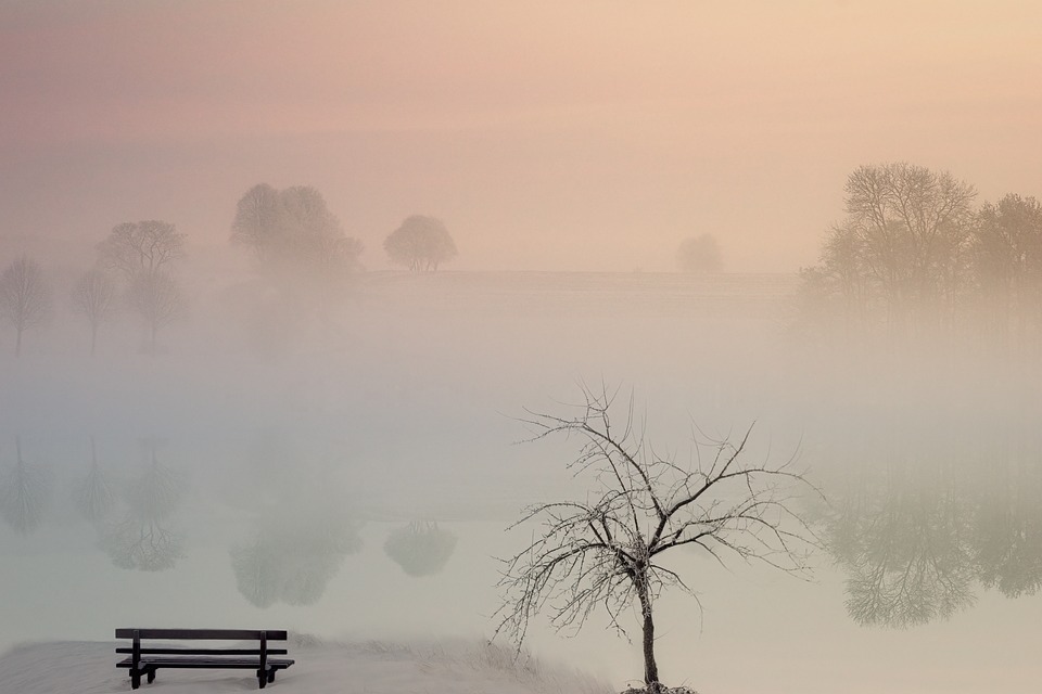 Serene Picture